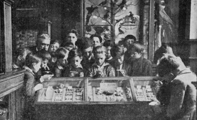 Des écoliers visitent le Muséum d’Histoire Naturelle du Havre